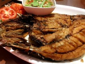 433926cd08924b7d8897aae6c367f5f6